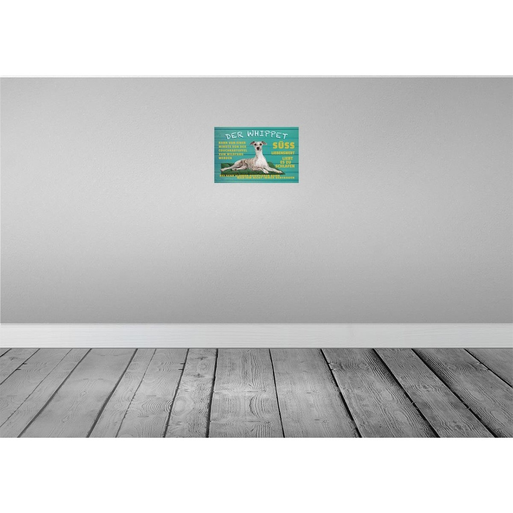 [LA-112593-2030] Blechschild 20x30 cm der Whippet Hund süss lebenswert Tier Haustier Bild 2
