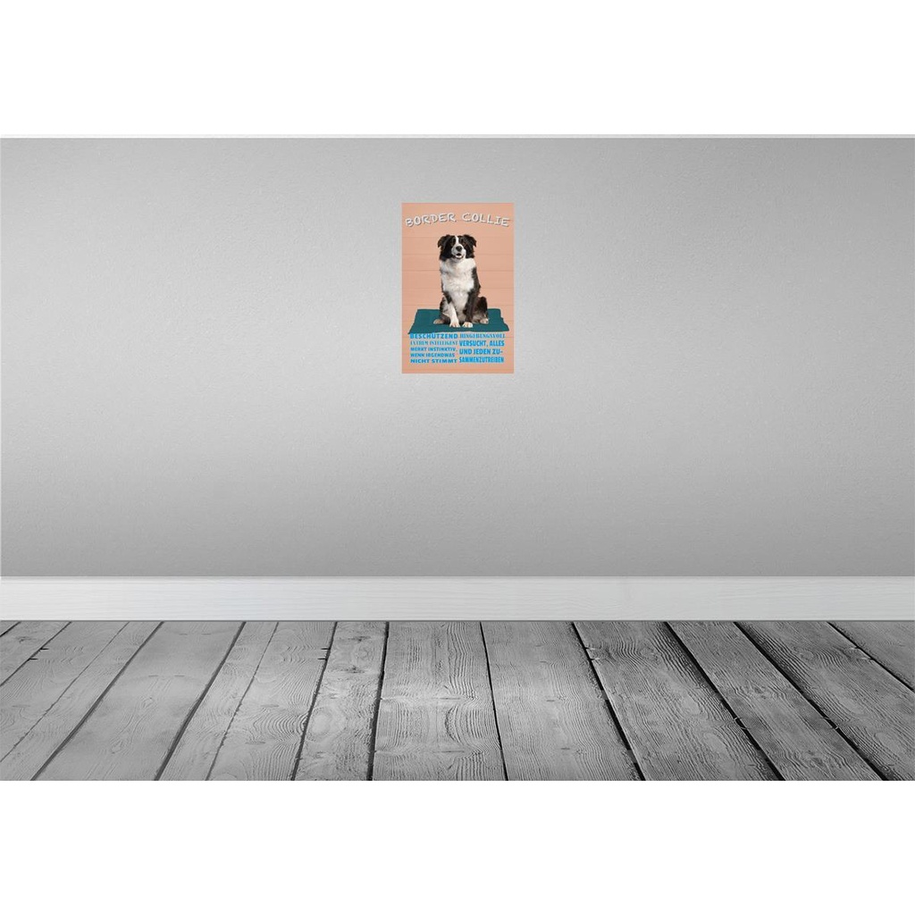 [LA-112612-H] Holzschild 30x20 cm Border Collie Hund intelligent Bild 2