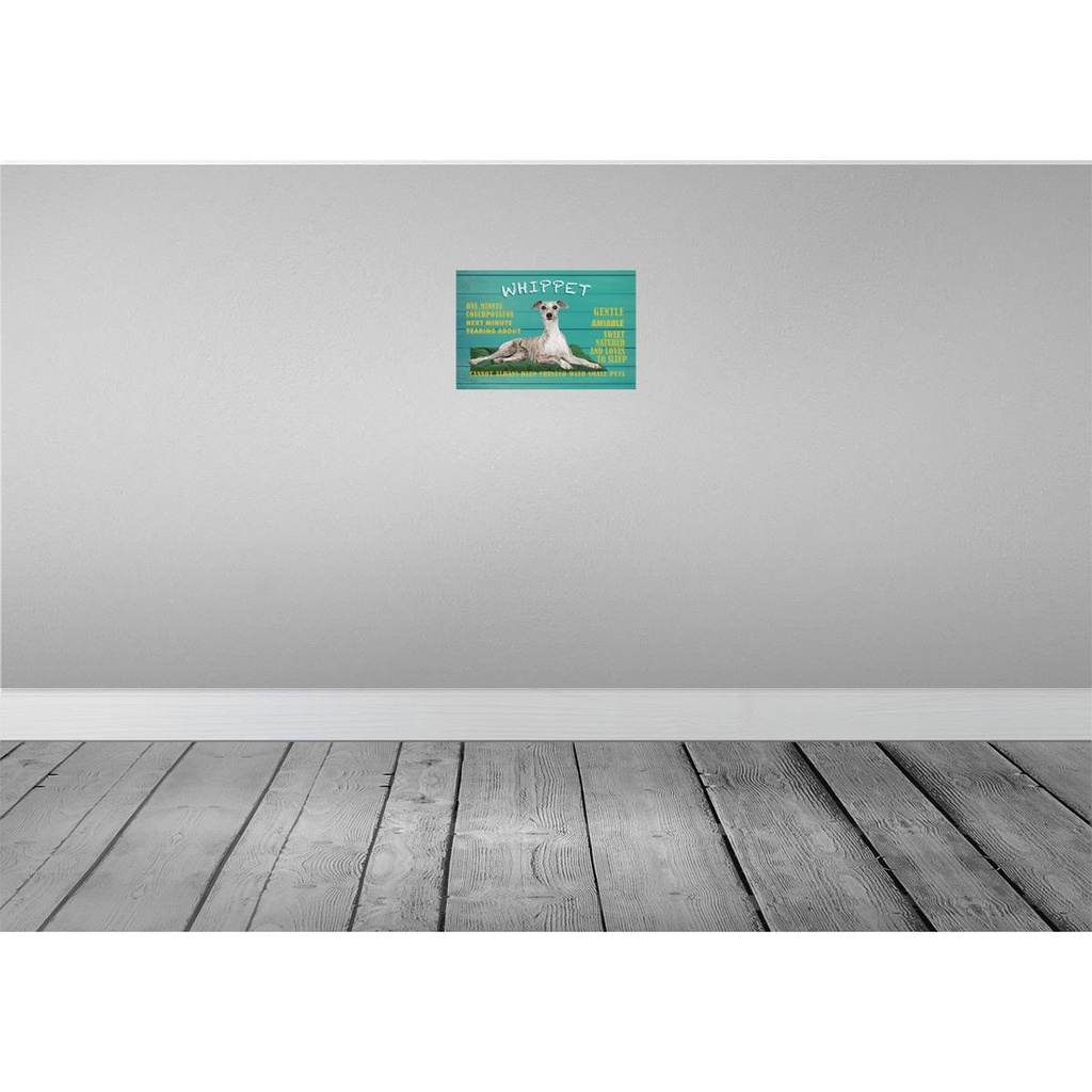 [LA-112622-2030] Blechschild 20x30 cm Whippet Hund gentle amiable Tier Haustier Bild 2