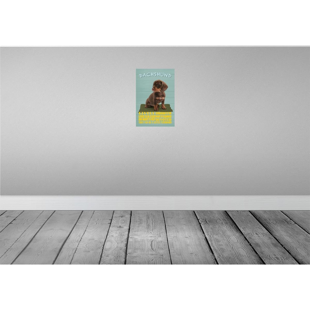 [LA-112638-H] Holzschild 30x20 cm Dachshund Hund lively devoted Tier Haustier Bild 2