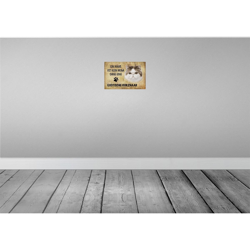 [LA-112698-2030] Blechschild 20x30 cm exotische Kurzhaar Katze Tier Haustier Bild 2