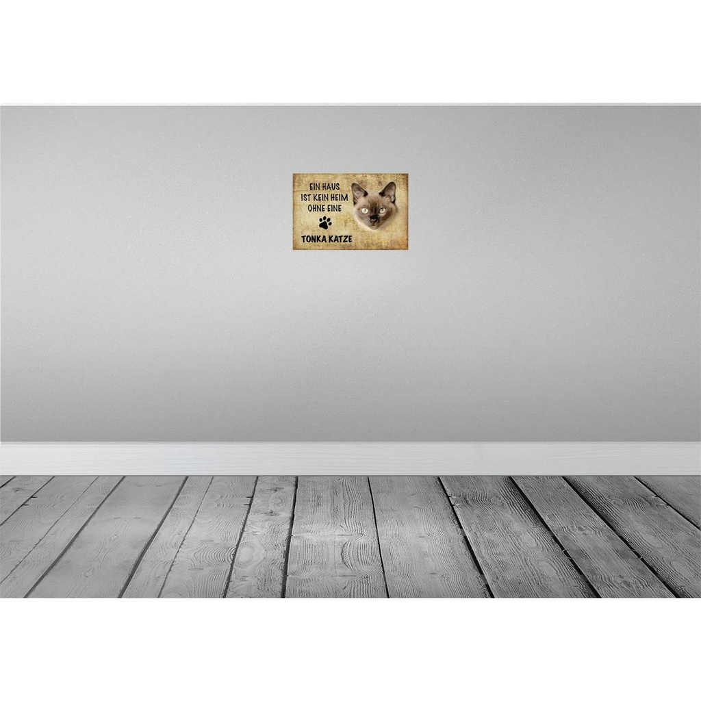 [LA-112717-H] Holzschild 20x30 cm Tonka Katze ohne kein Heim Tier Haustier Bild 2