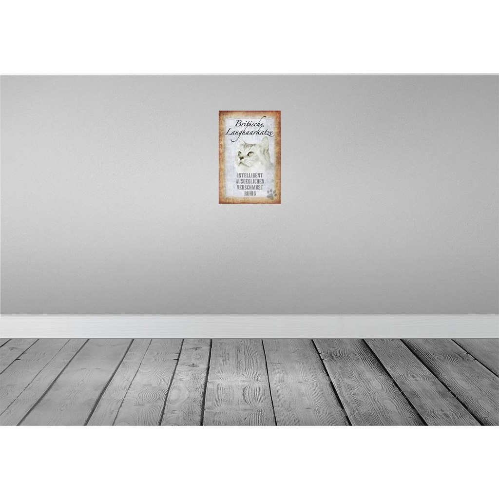 [LA-112729-2030] Blechschild 30x20 cm britische Langhaarkatze Tier Haustier Katze Bild 2