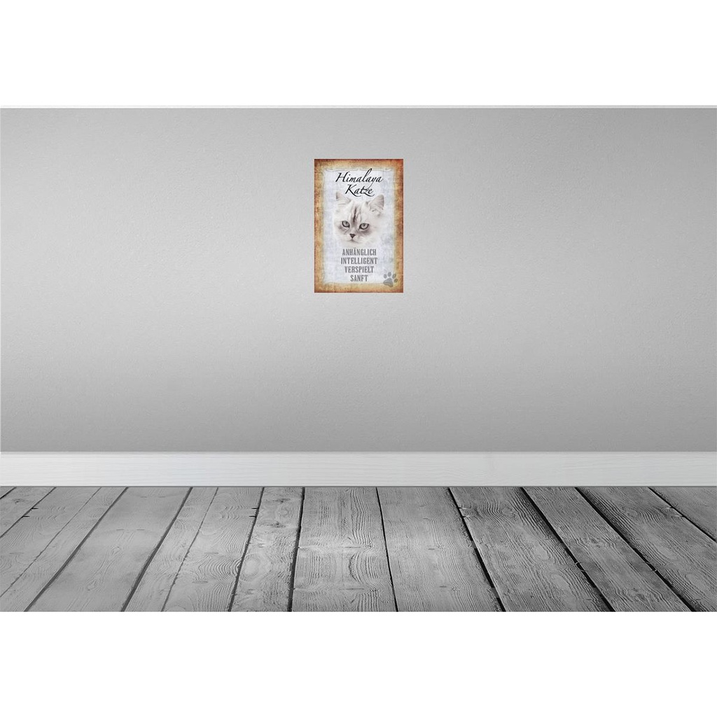 [LA-112739-H] Holzschild 30x20 cm Himalaya Katze sanft Tier Haustier Bild 2