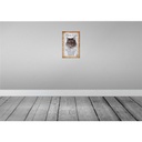[LA-112741-H] Holzschild 30x20 cm Maine Coon Katze aktiv Tier Haustier Bild 2