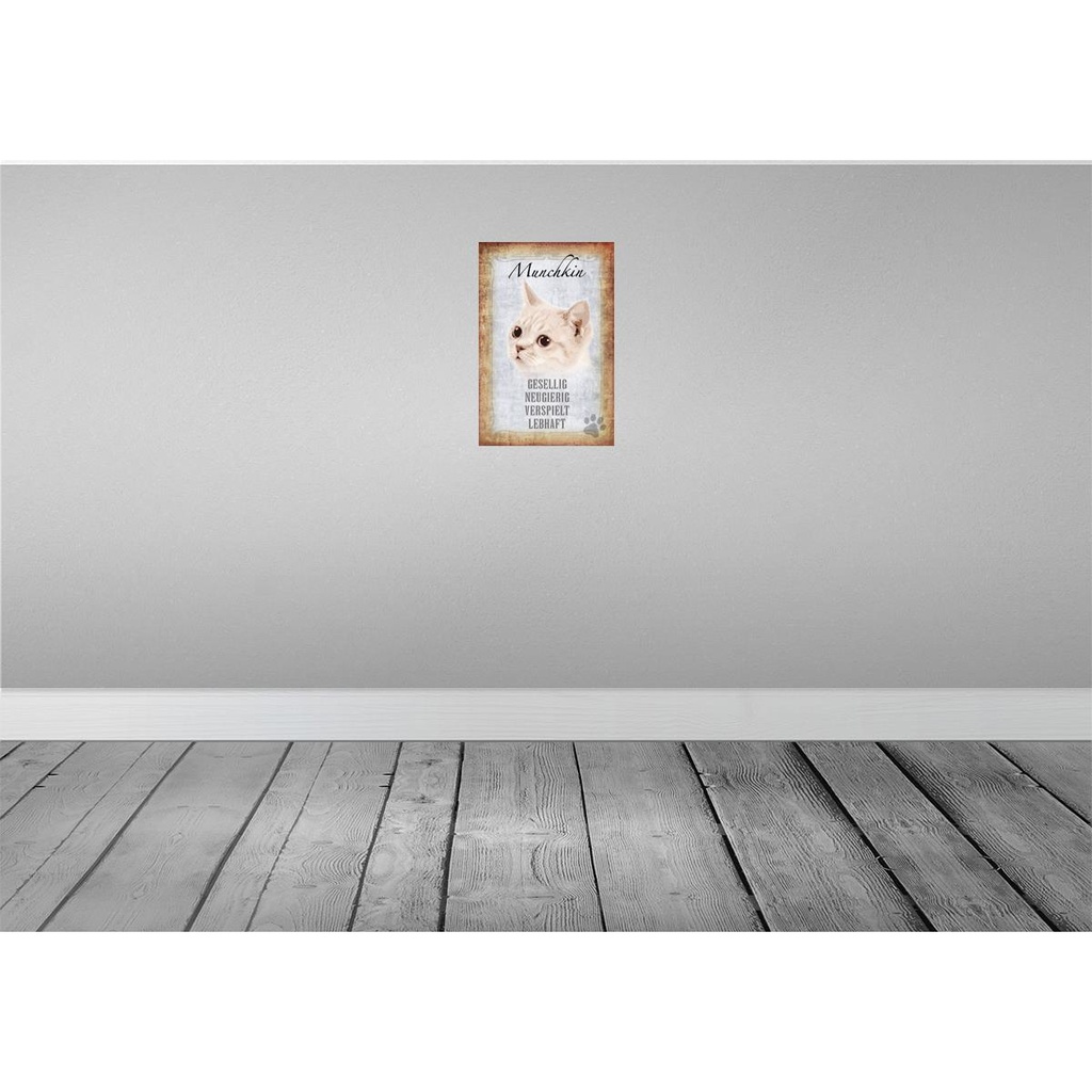 [LA-112742-H] Holzschild 30x20 cm Munchkin Katze lebhaft Tier Haustier Bild 2