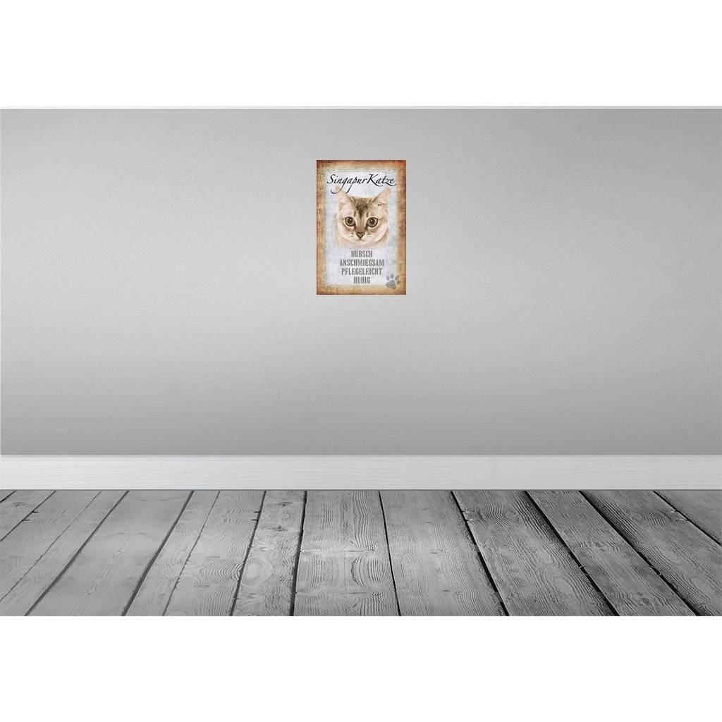 [LA-112754-2030] Blechschild 30x20 cm Singapur Katze Tier Haustier Bild 2