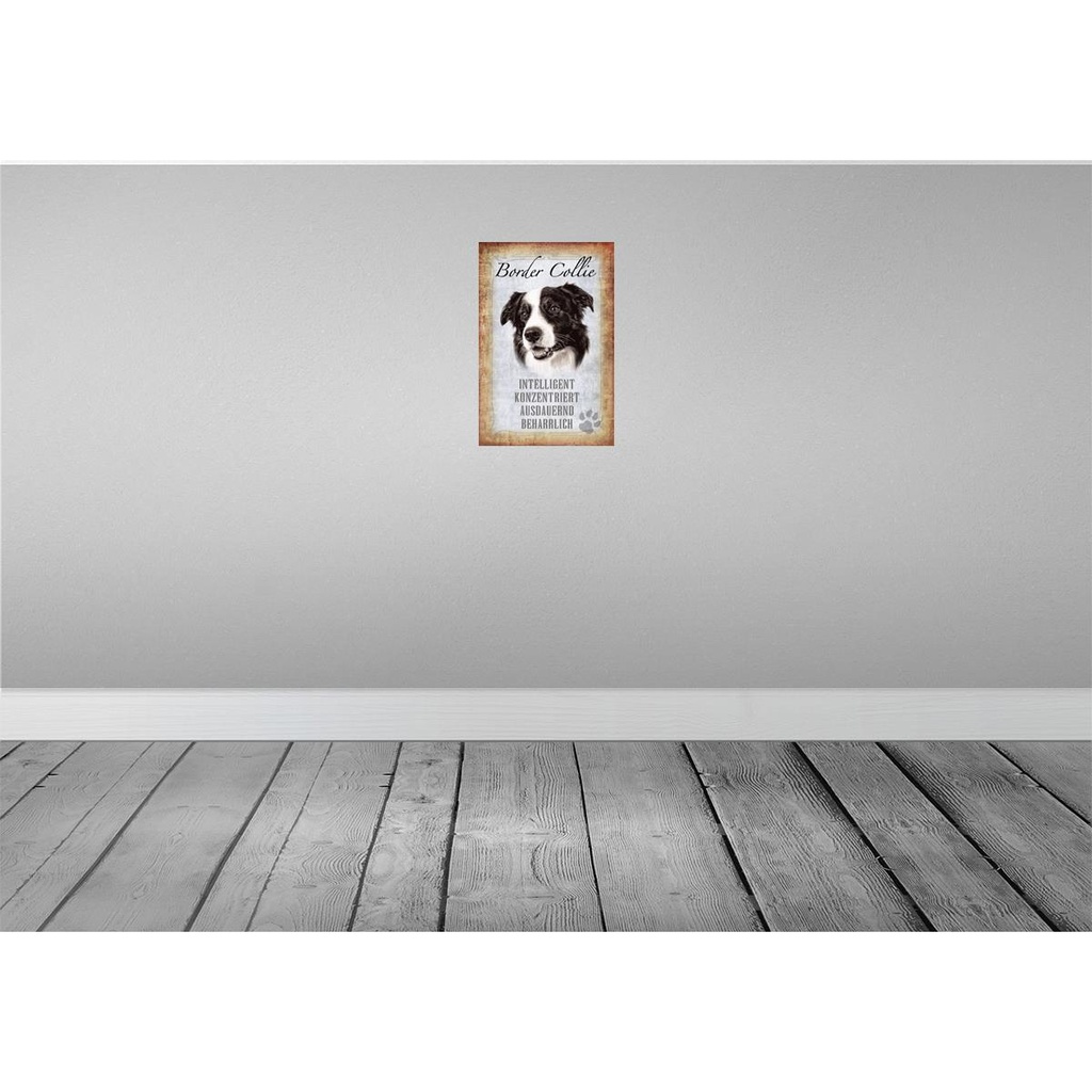 [LA-112807-2030] Blechschild 30x20 cm Border Collie Hund Tier Haustier Bild 2