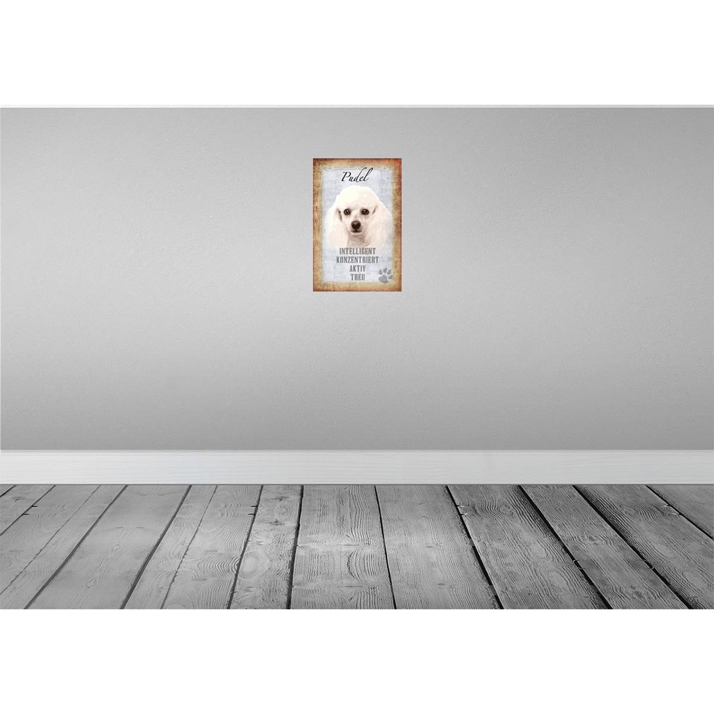 [LA-112828-H] Holzschild 30x20 cm Pudel Hund aktiv Tier Haustier Bild 2