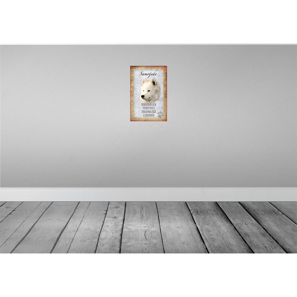 [LA-112833-2030] Blechschild 30x20 cm Samojede Hund Tier Haustier Bild 2