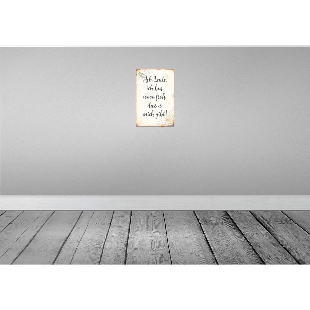 [LA-112880-2030] Blechschild 30x20 cm Ach Leute ich bin soo froh Spruch Zitat Bild 2