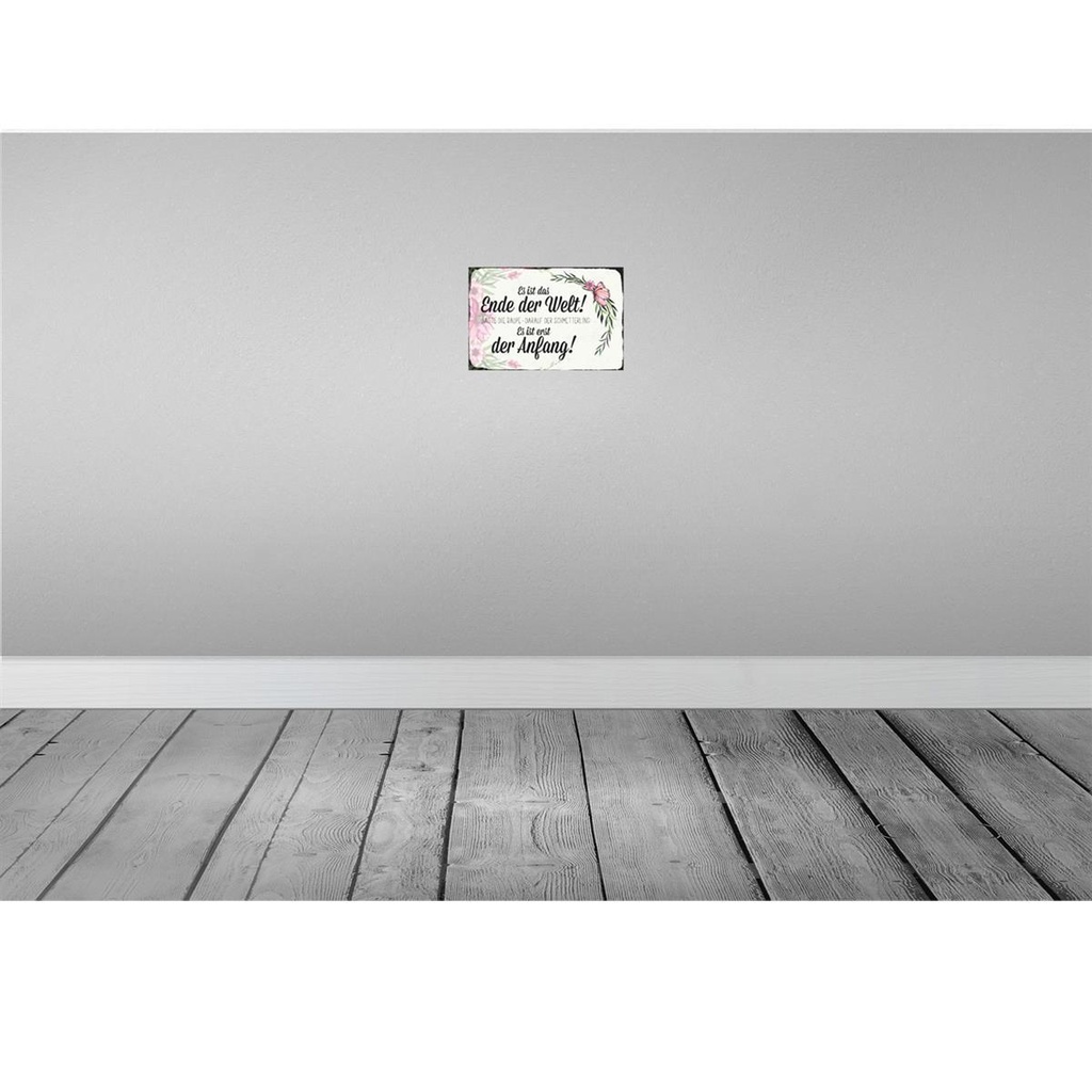[LA-113053-2030] Blechschild 20x30 cm es ist das Ende der Welt sagte Dekoration Spruch Zitat Bild 2
