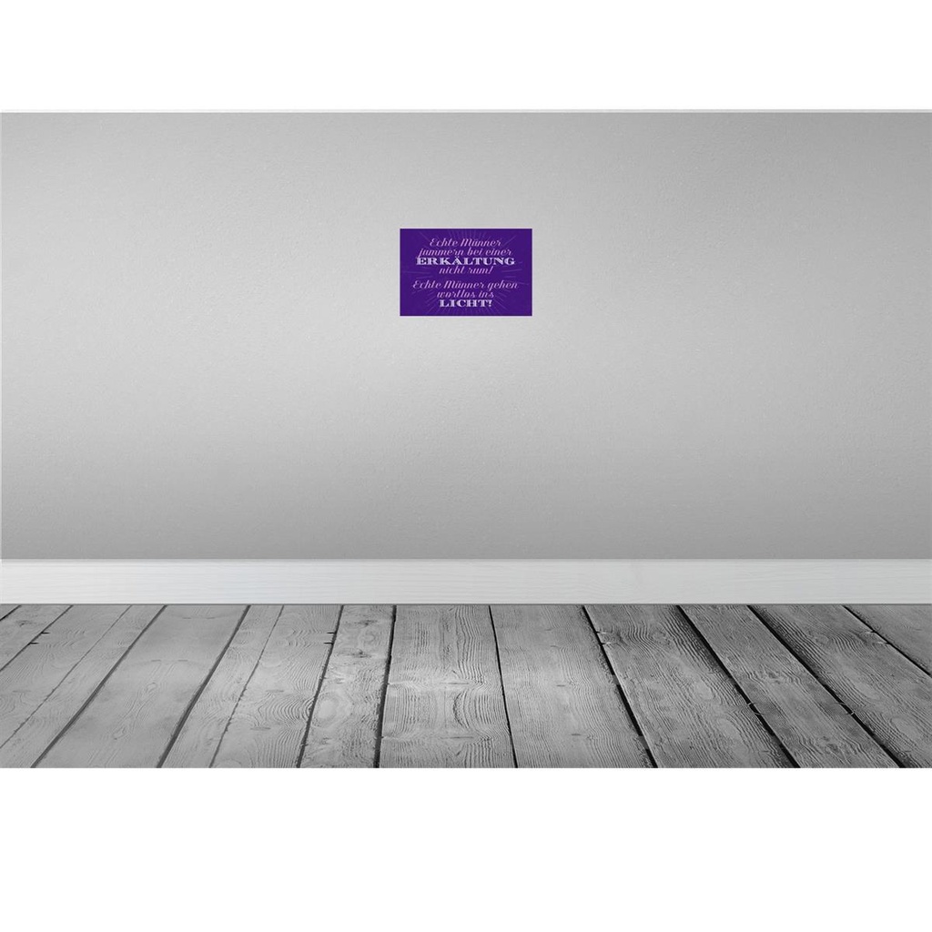 [LA-113181-2030] Blechschild 20x30 cm echte Männer jammern nicht Spruch Zitat Bild 2