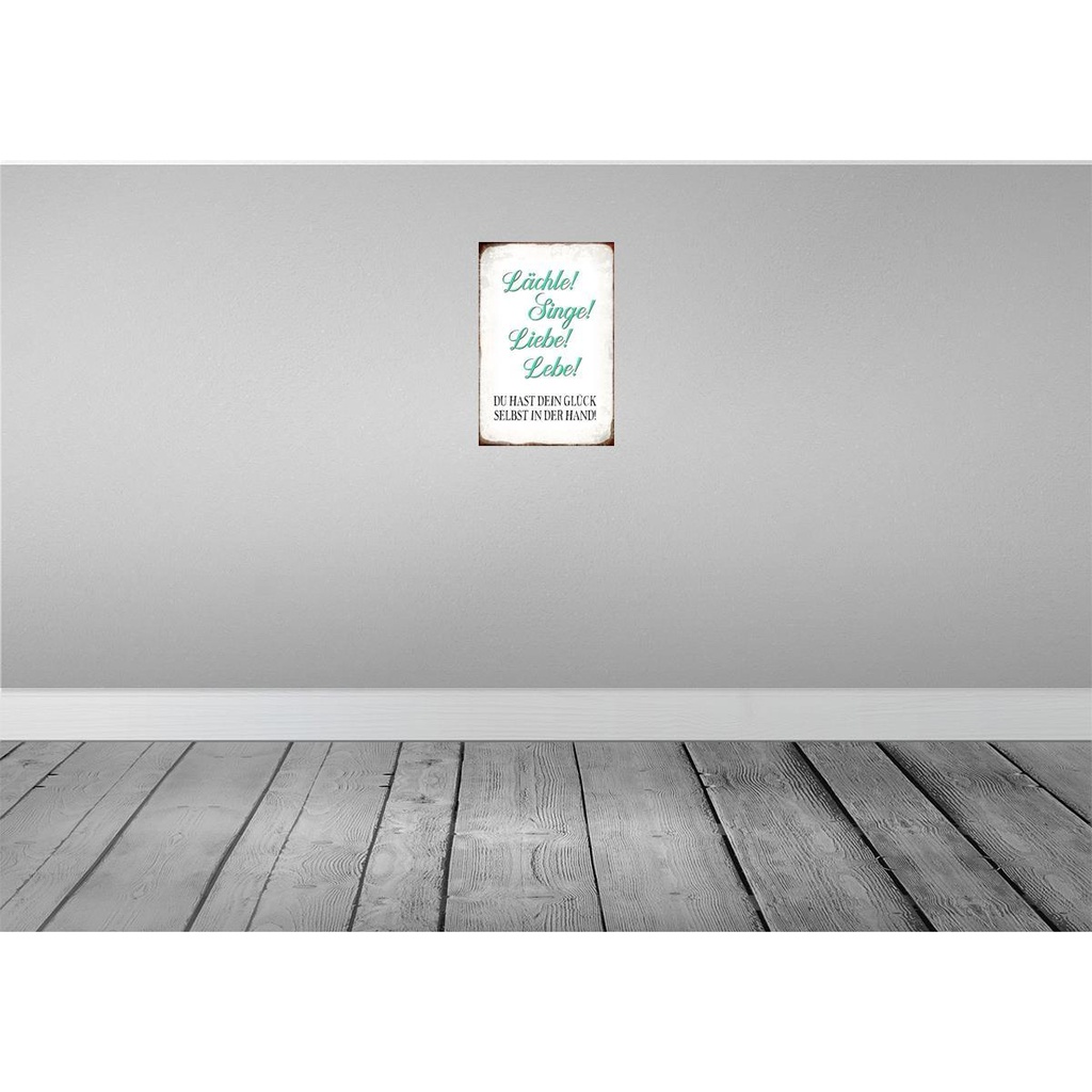[LA-113234-2030] Blechschild 30x20 cm Lächle Singe Liebe Lebe Glück Dekoration Bild 2