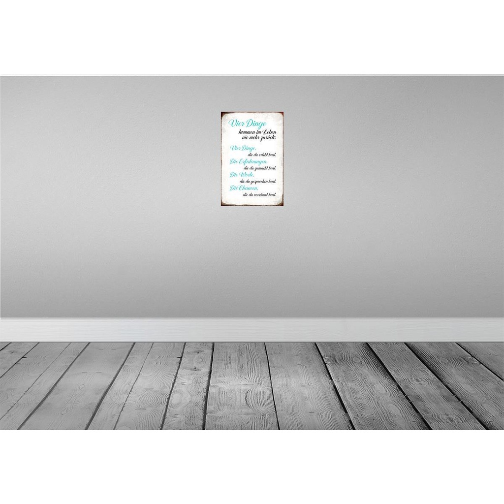 [LA-113267-2030] Blechschild 30x20 cm 4 Dinge kommen nie mehr zurück Spruch Zitat Bild 2