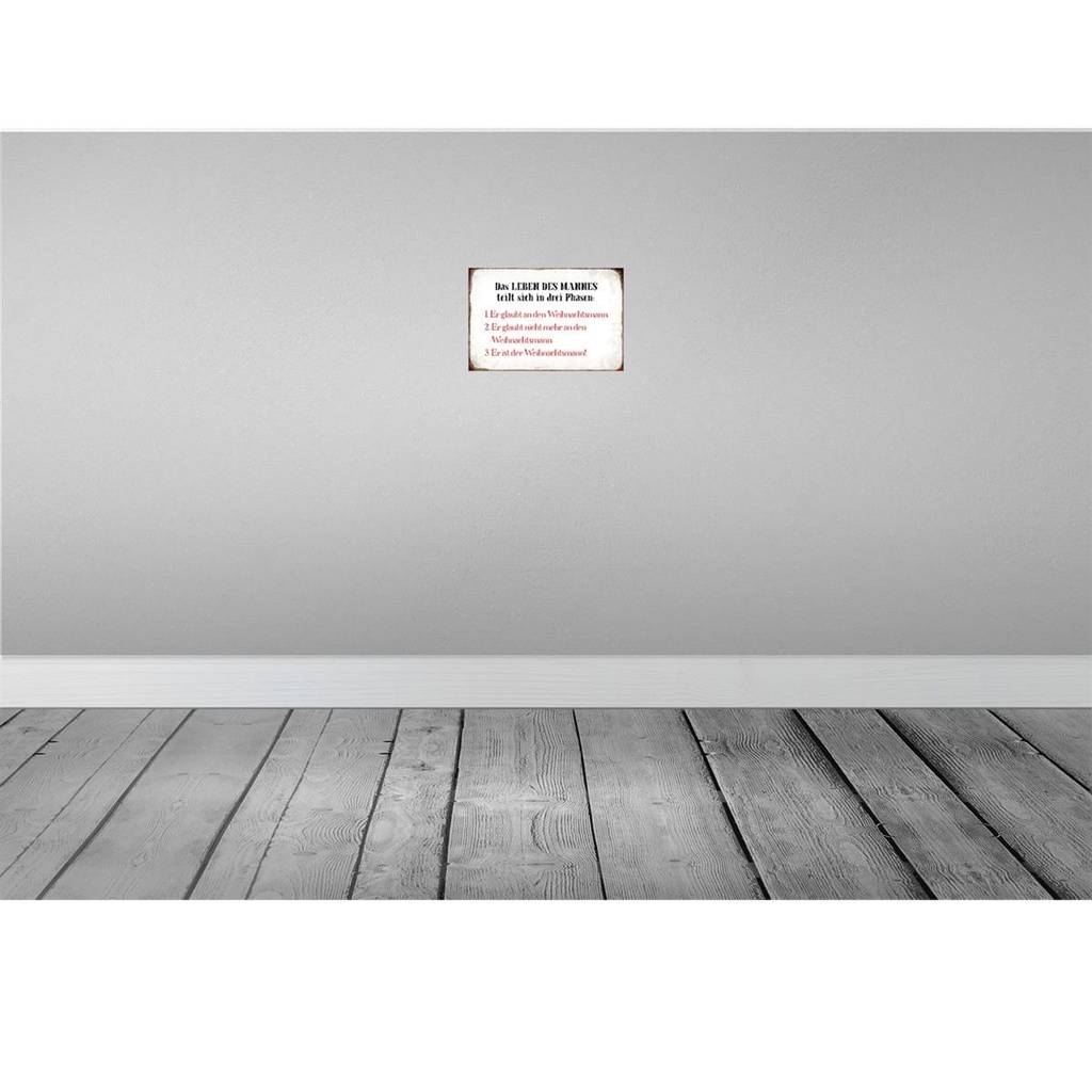 [LA-113304-H] Holzschild 20x30 cm das Leben des Mannes 3 Phasen Männer Frauen Bild 2