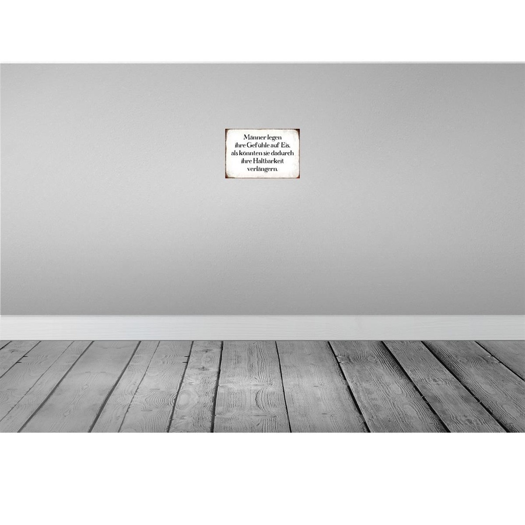 [LA-113310-H] Holzschild 20x30 cm Männer legen Gefühle auf Eis Frauen Bild 2