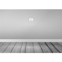[LA-113406-1812-H] Holzschild 12x18 cm rate wer dringend Bier braucht Dekoration Bild 2