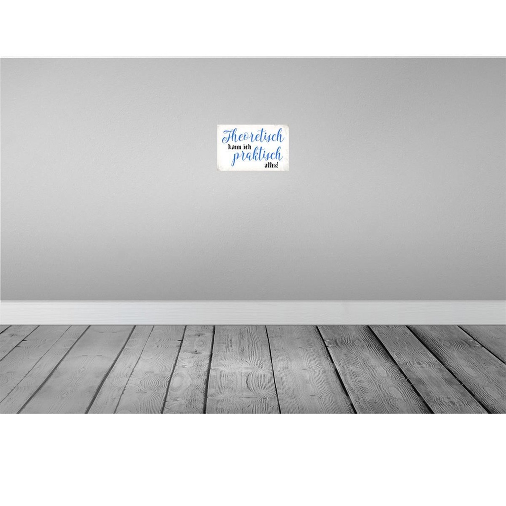 [LA-113422-2030] Blechschild 20x30 cm theoretisch kann praktisch alles Spruch Zitat Bild 2