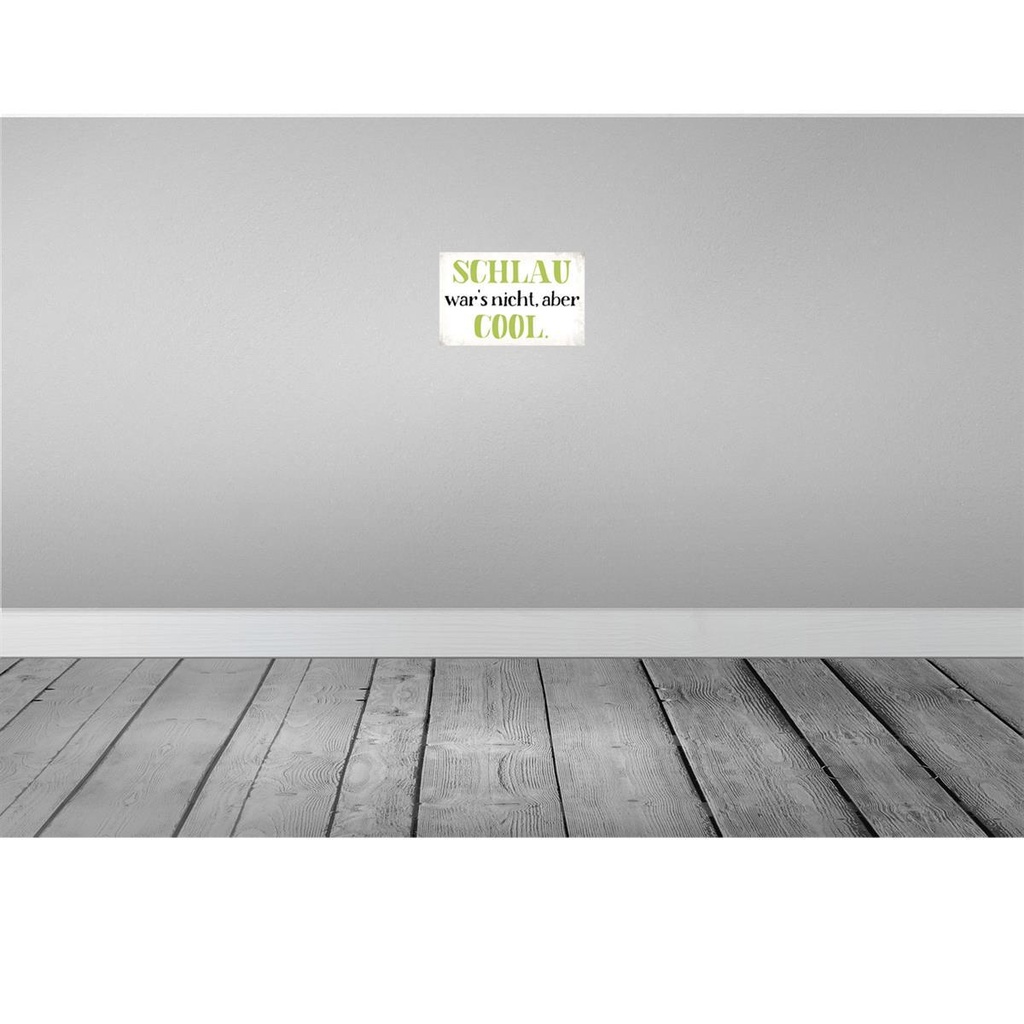 [LA-113426-H] Holzschild 20x30 cm schlau war`s nicht aber cool Dekoration Bild 2