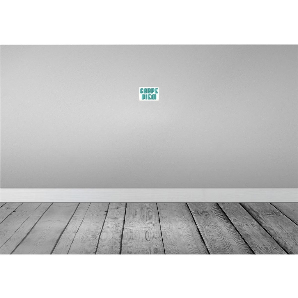 [LA-113449-1812] Blechschild 12x18 cm carpe diem nutze dein Tag Spruch Zitat Bild 2