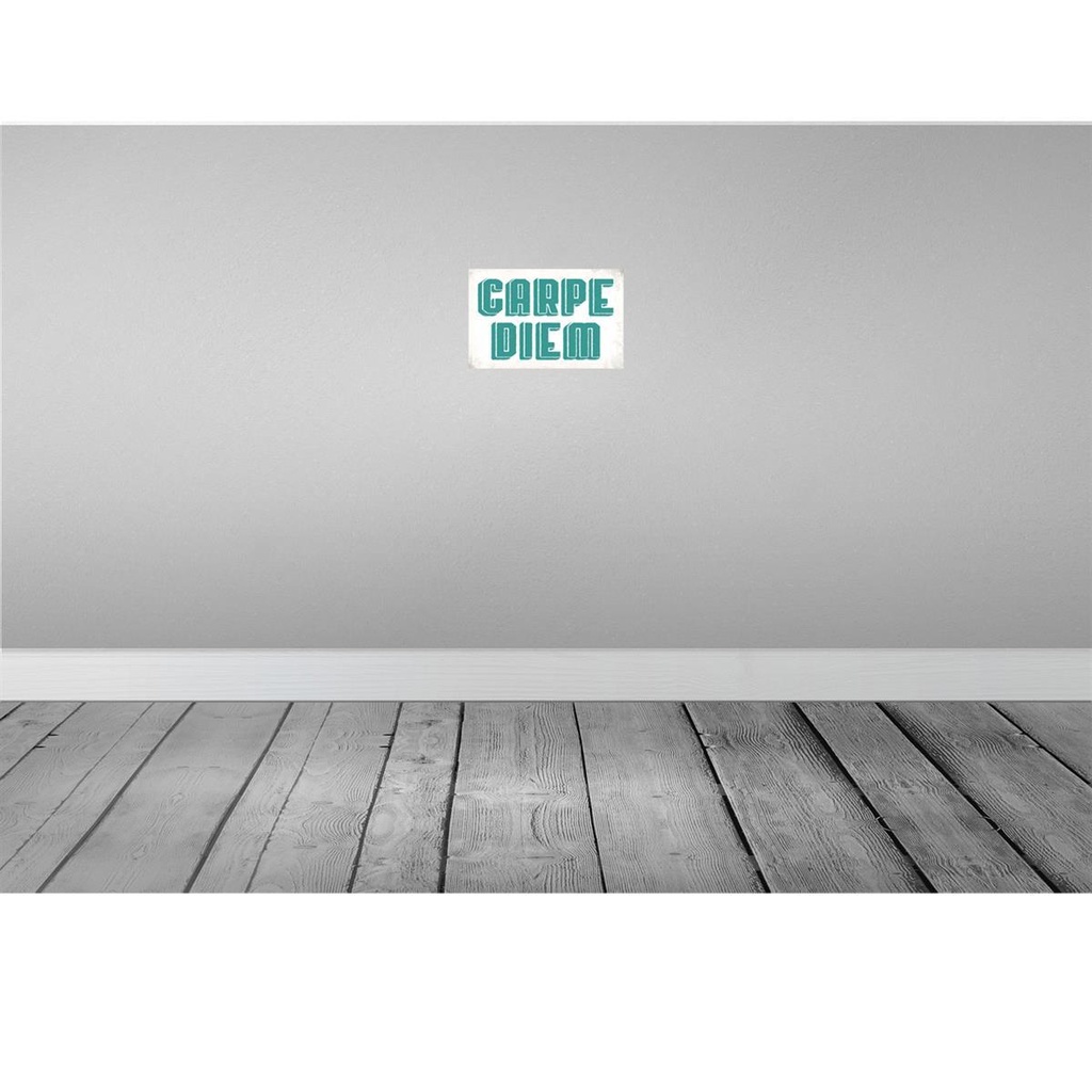 [LA-113449-2030] Blechschild 20x30 cm carpe diem nutze dein Tag Spruch Zitat Bild 2