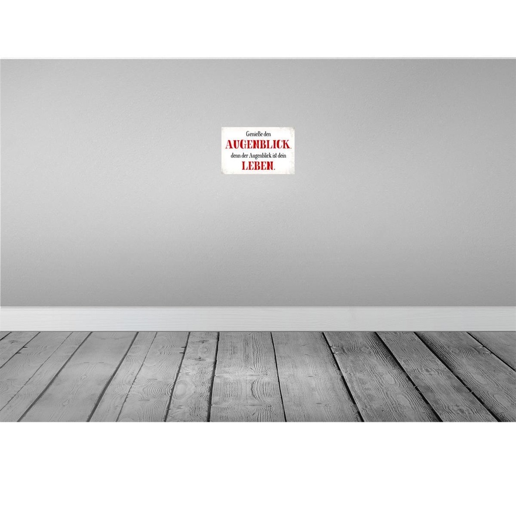 [LA-113457-2030] Blechschild 20x30 cm genieße den Augenblick Leben Dekoration Spruch Zitat Bild 2