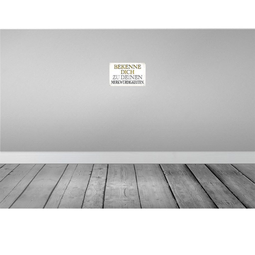 [LA-113462-2030] Blechschild 20x30 cm bekenne dich Merkwürdigkeiten Dekoration Spruch Zitat Bild 2