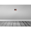 [LA-113520-1812] Blechschild 12x18 cm Vereinigte Staaten Amerika USA Flagge Fahne Wappen Bild 2