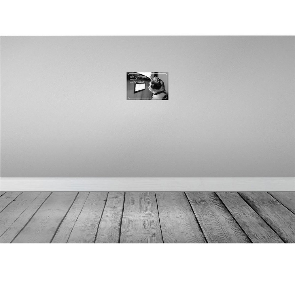 [LA-113552-2030] Blechschild 20x30 cm Katze ich sehe was du nicht siehst Tier Haustier Bild 2