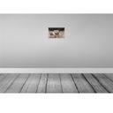 [LA-113553-H] Holzschild 20x30 cm Katze Hey lassen wir die Hunde raus? Tier Haustier Bild 2
