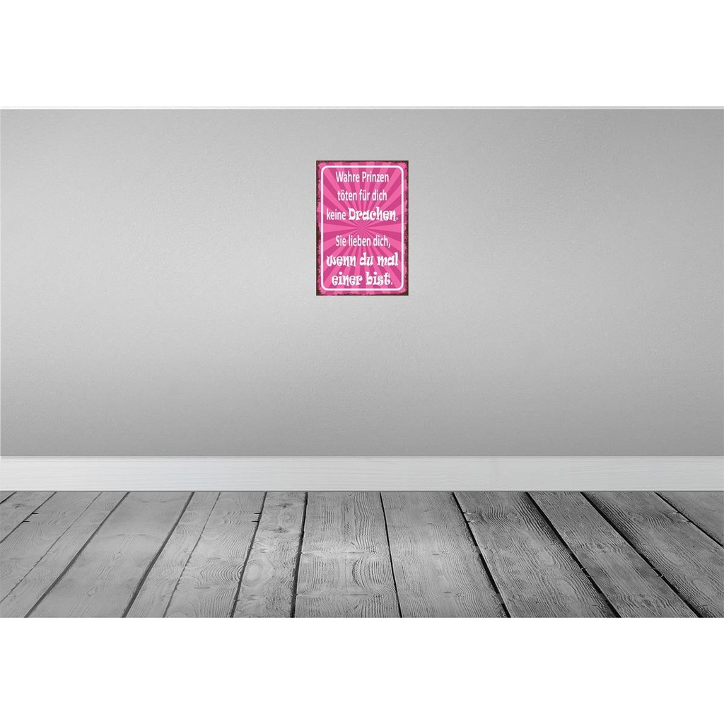 [LA-113580-2030] Blechschild 30x20 cm wahre Prinzen töten keine Dekoration Spruch Zitat Bild 2