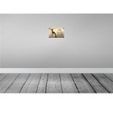 [LA-113743-2030] Blechschild 20x30 cm Katze Abessinier hier wache ich Tier Haustier Bild 2