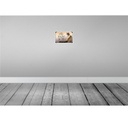 [LA-113744-H] Holzschild 20x30 cm Katze American Curl hier wache ich Tier Haustier Bild 2