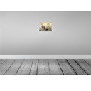 [LA-113745-H] Holzschild 20x30 cm Katze American Shorthair hier wache Tier Haustier Bild 2