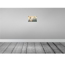 [LA-113750-2030] Blechschild 20x30 cm Hund Chihuahua hier wache ich Tier Haustier Bild 2