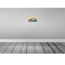 [LA-113751-2030] Blechschild 20x30 cm Hund Welsh Corgi hier wache ich Tier Haustier Bild 2