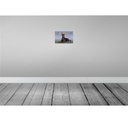 [LA-113764-H] Holzschild 20x30 cm Hund Dobermann 1850 Deutschland Tier Haustier Bild 2