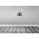 [LA-113765-H] Holzschild 30x20 cm Hund Französische Bulldogge Tier Haustier Bild 2