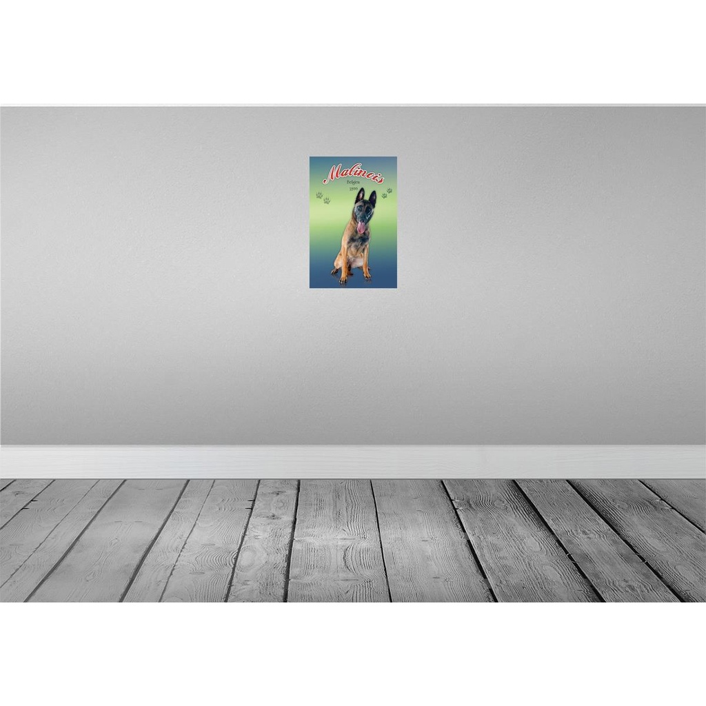 [LA-113767-2030] Blechschild 30x20 cm Hund Malinois Belgien 1899 Tier Haustier Bild 2