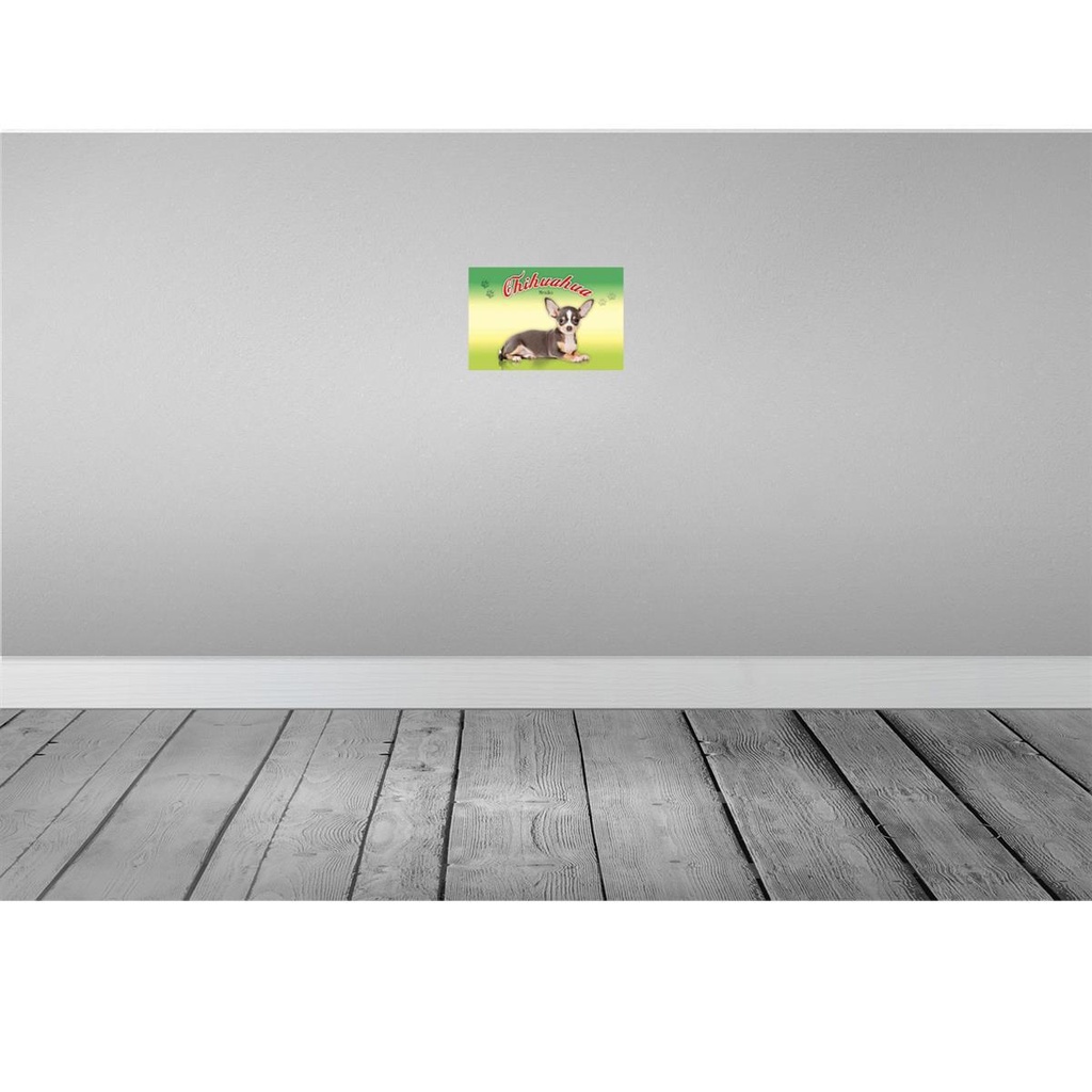 [LA-113775-2030] Blechschild 20x30 cm Hund Chihuahua Mexiko Tier Haustier Bild 2
