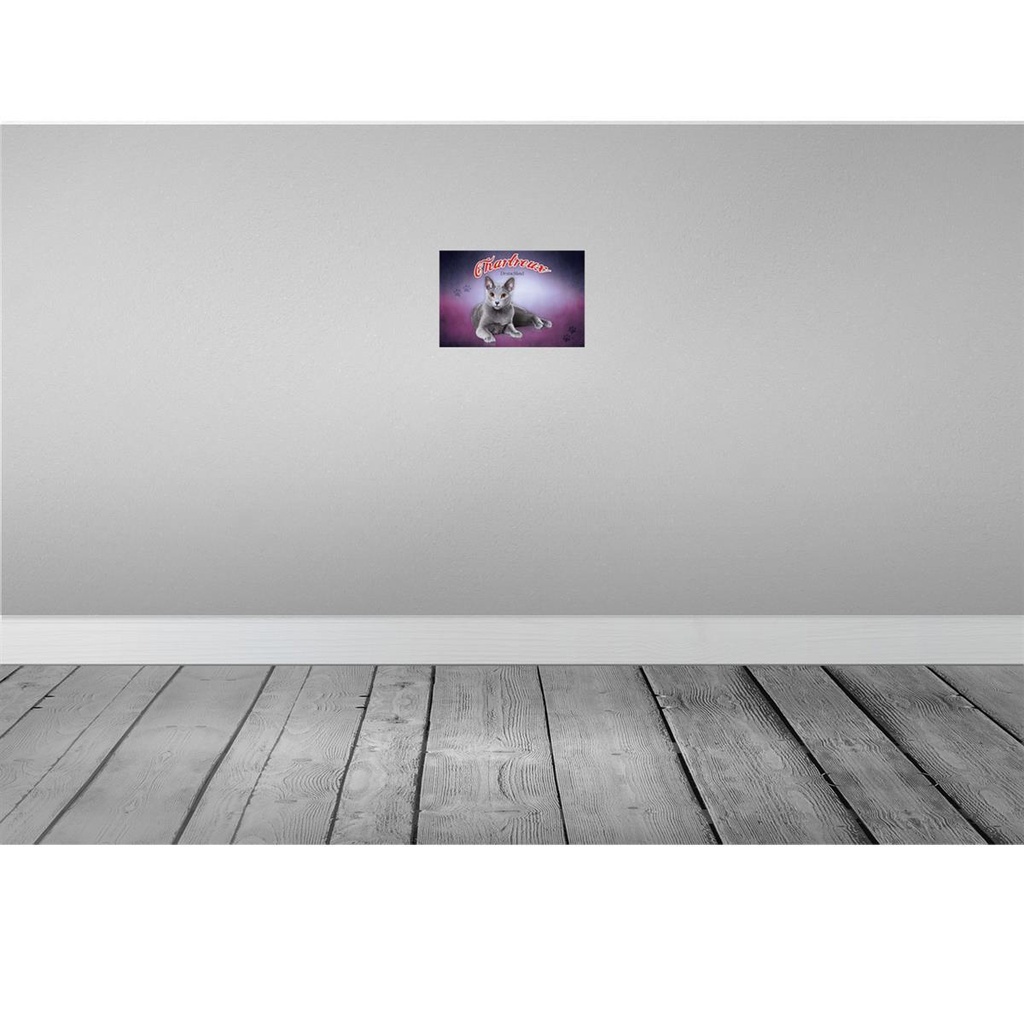 [LA-113784-2030] Blechschild 20x30 cm Katze Chartreux Deutschland Tier Haustier Bild 2