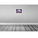 [LA-113784-H] Holzschild 20x30 cm Katze Chartreux Deutschland Tier Haustier Bild 2