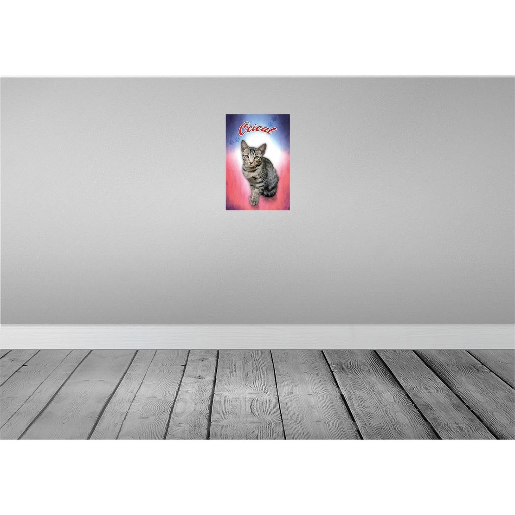 [LA-113786-2030] Blechschild 30x20 cm Katze Ocicat Tier Haustier Bild 2
