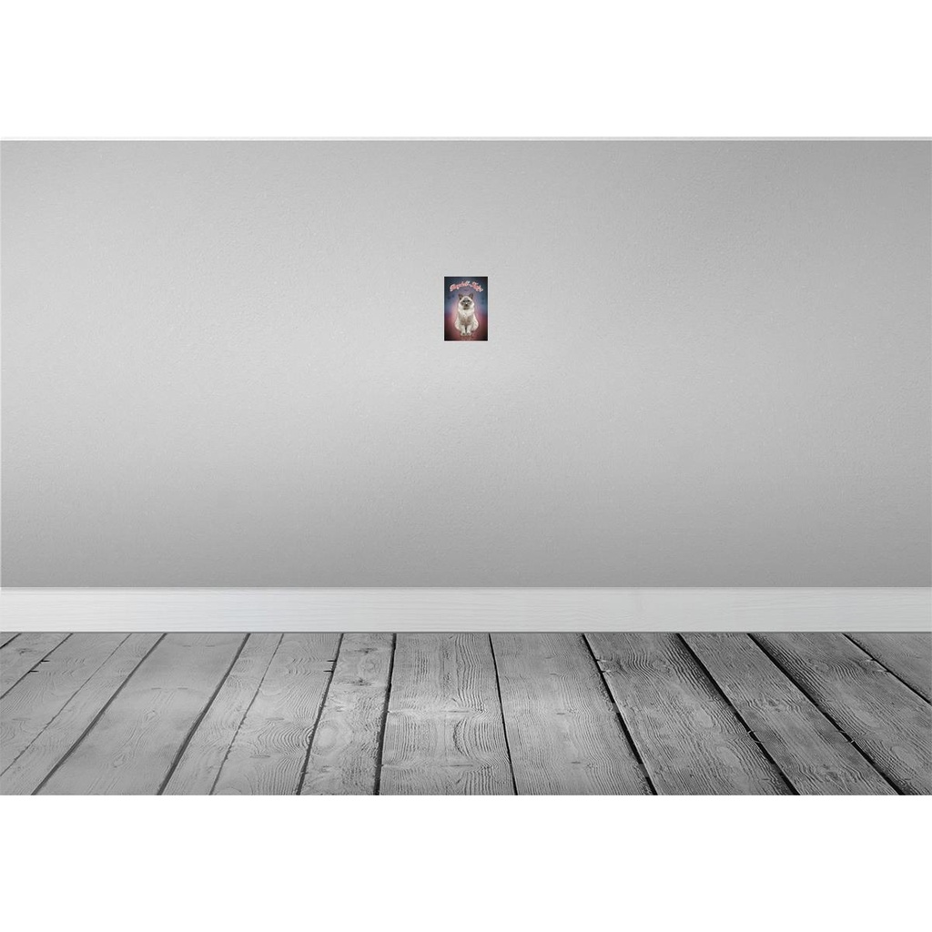 [LA-113788-1812] Blechschild 18x12 cm Katze Ragdoll 1960 Tier Haustier Bild 2