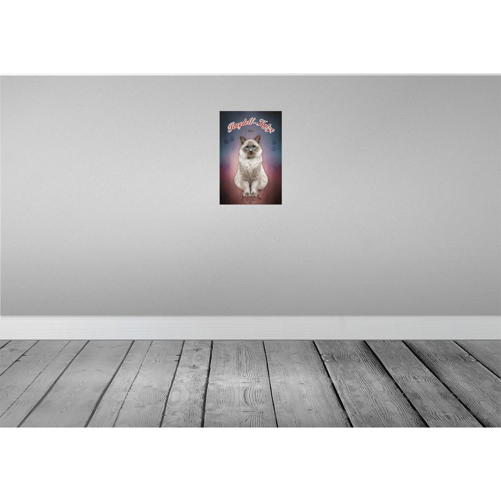 [LA-113788-2030] Blechschild 30x20 cm Katze Ragdoll 1960 Tier Haustier Bild 2