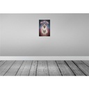 [LA-113788-2030] Blechschild 30x20 cm Katze Ragdoll 1960 Tier Haustier Bild 2