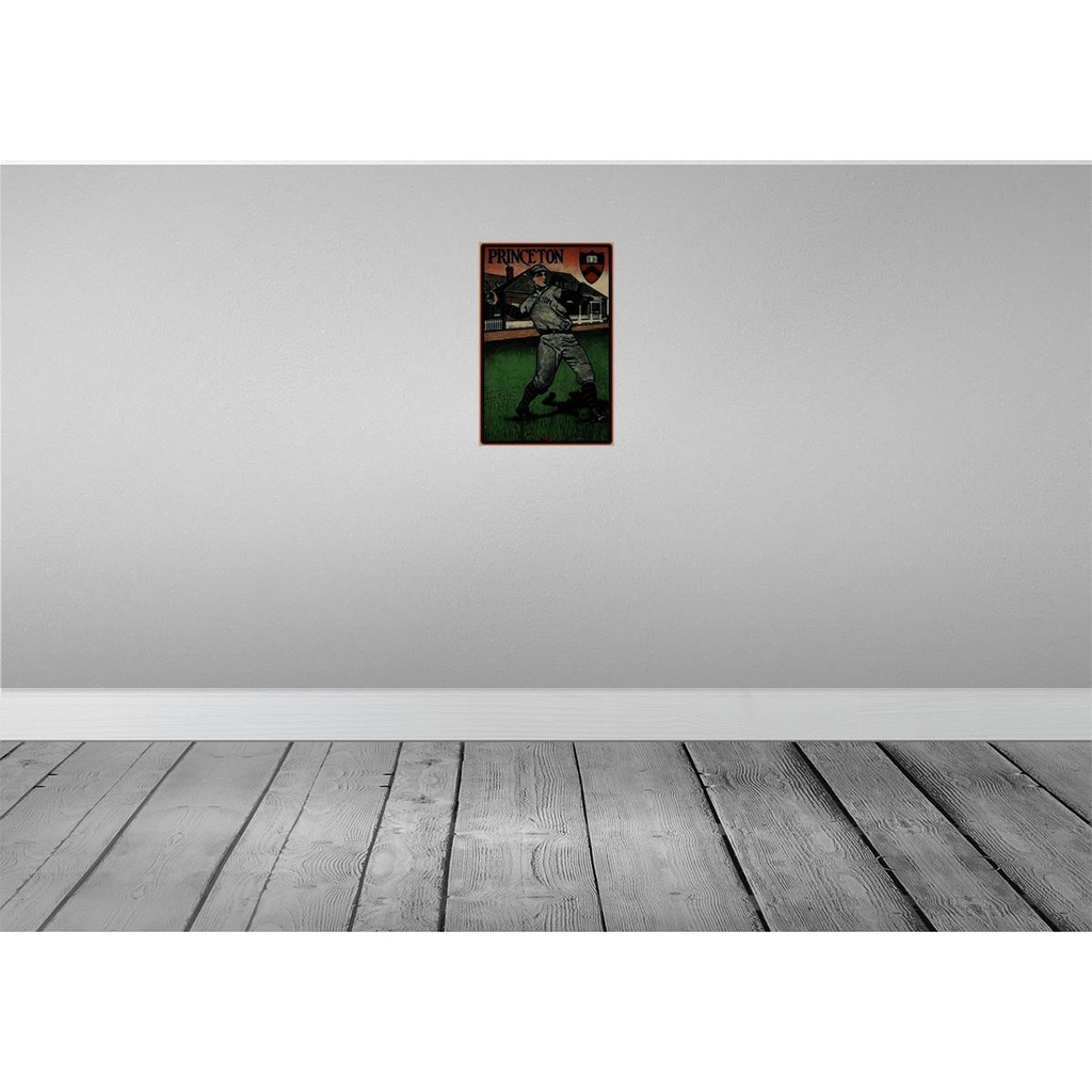 [LA-113896-2030] Blechschild 30x20 cm Princeton Baseball Sport Hobby Bild 2