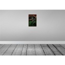 [LA-113896-2030] Blechschild 30x20 cm Princeton Baseball Sport Hobby Bild 2