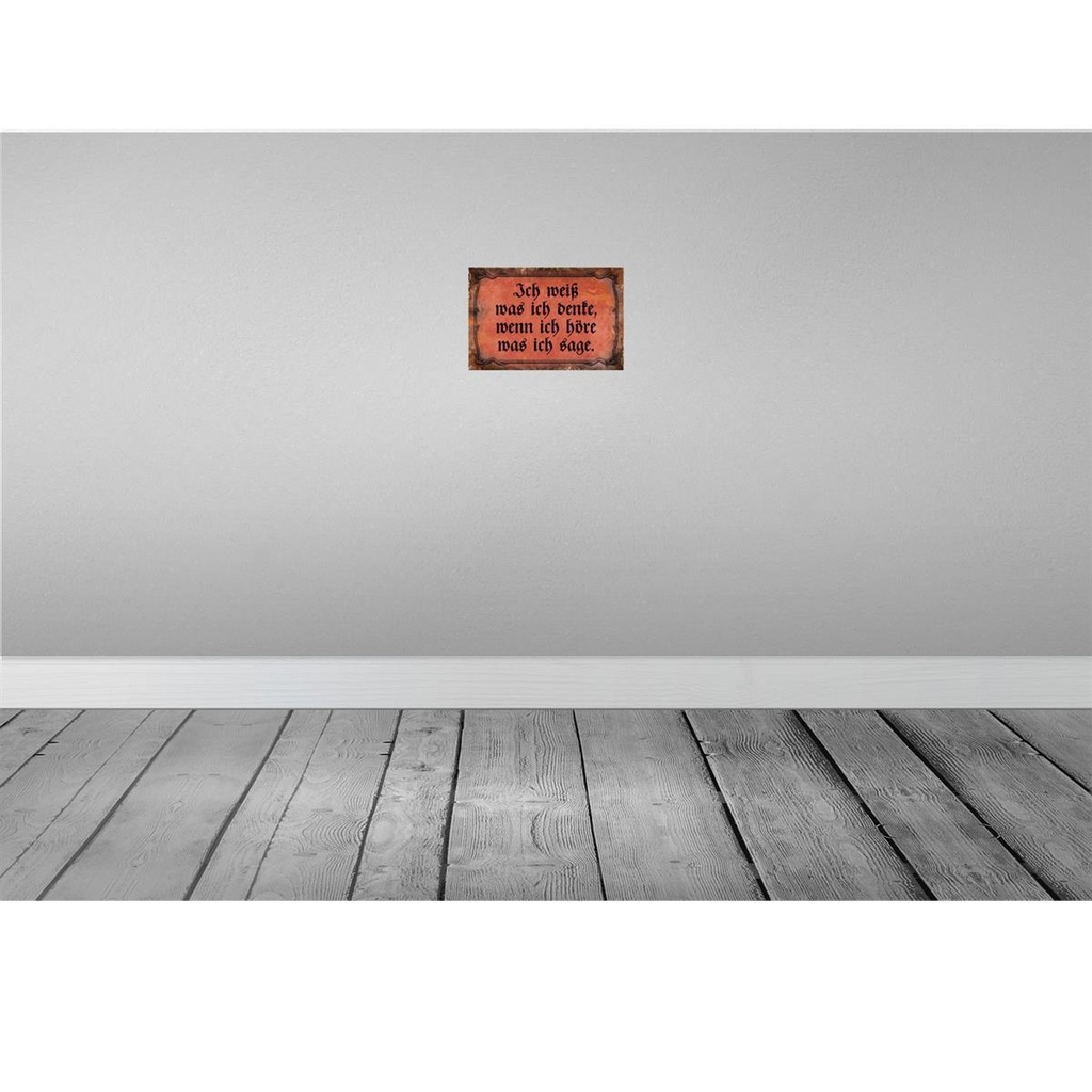 [LA-113936-2030] Blechschild 20x30 cm ich weiß was denke wenn Dekoration Spruch Zitat Bild 2